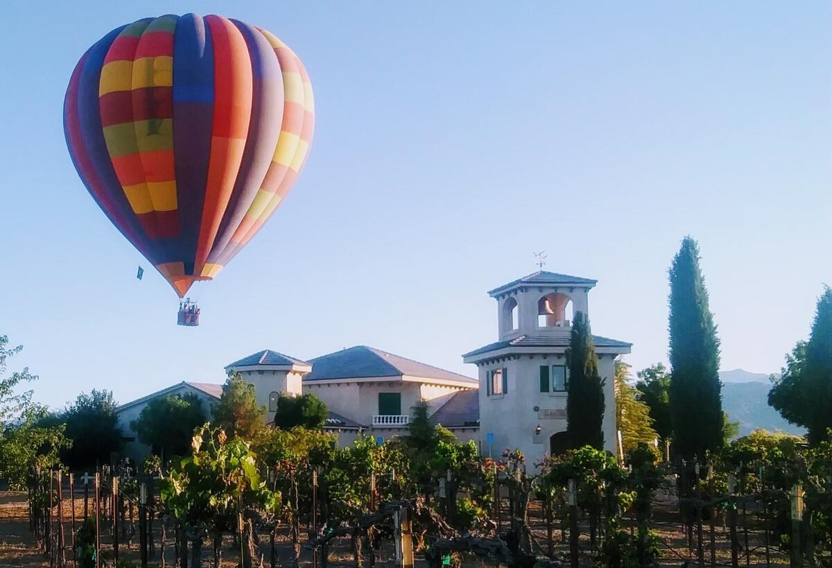 Gallery Sanders Family Winery